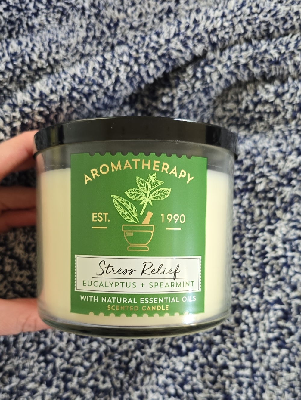 Bath & Body Works Aromatherapy Stress Relief Eucalyptus + Spearmint Candle